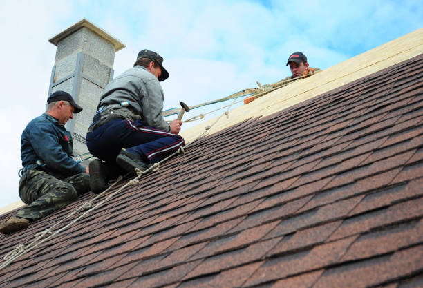 Professional Roofing Contractor in Lake City, PA