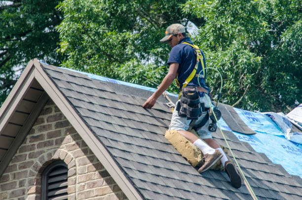 Best Commercial Roofing Services  in Lake City, PA